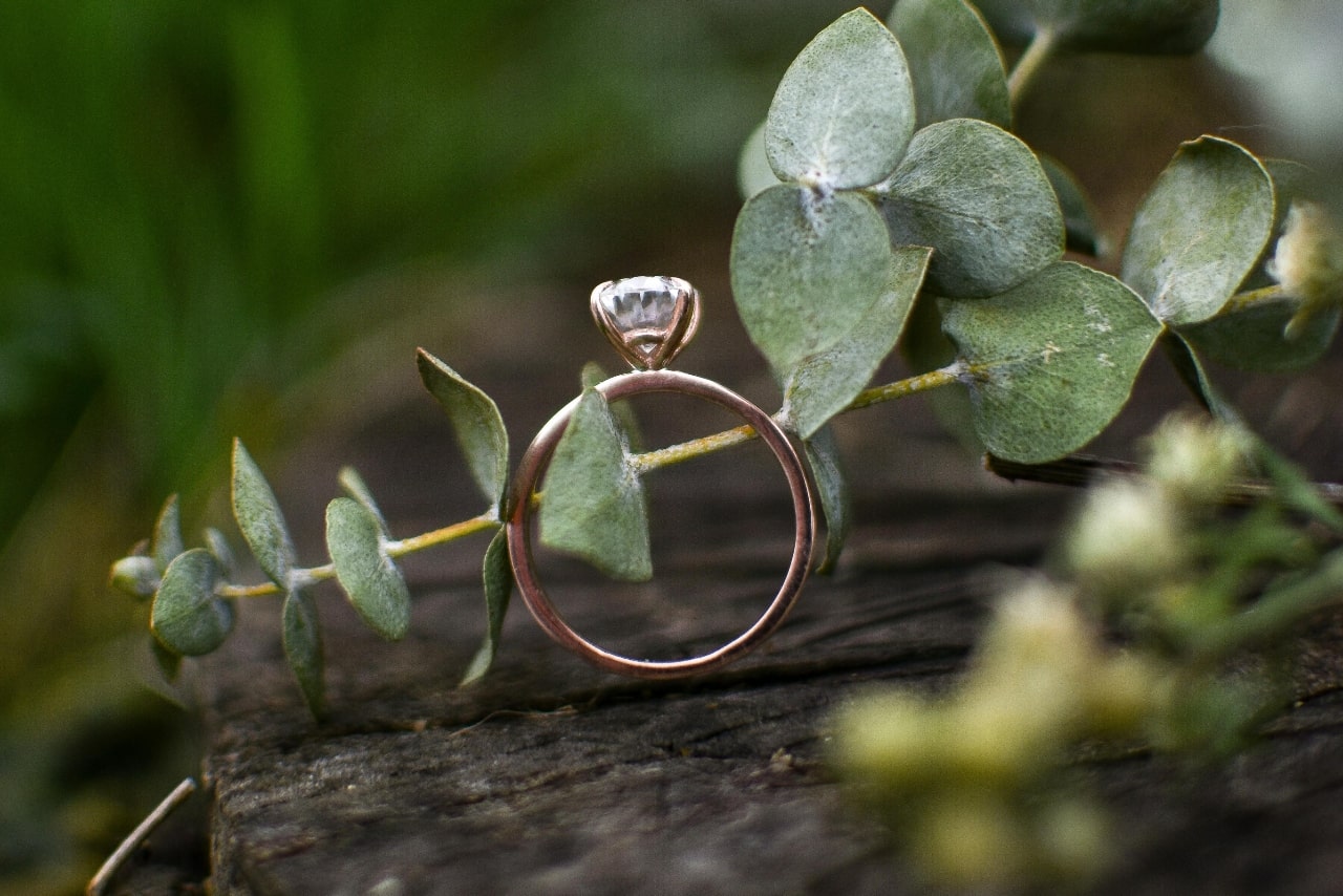 a solitaire engagement ring surrounded by greenery