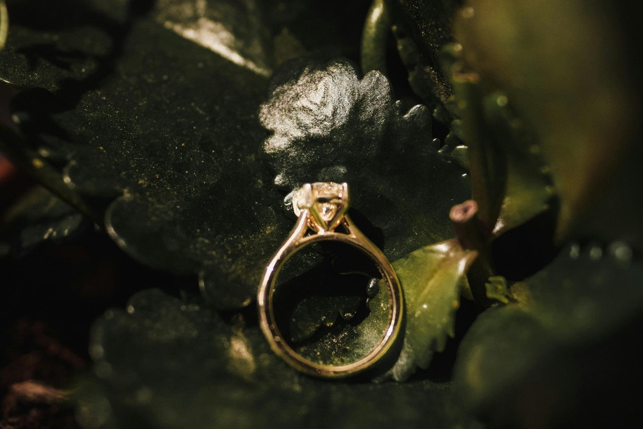 A yellow gold solitaire engagement ring sitting on a bed of green leaves.