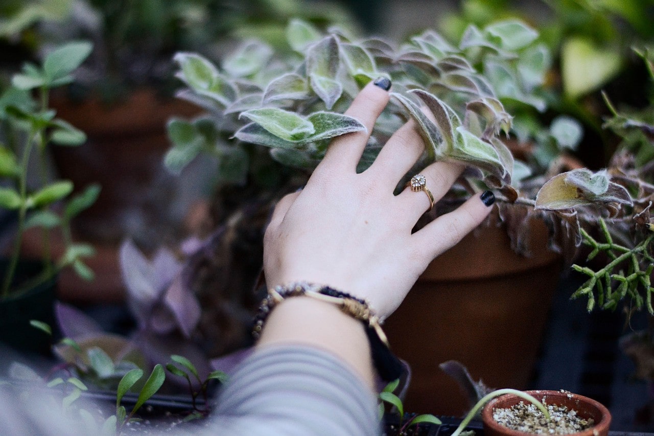 gold fashion ring on hand holding plant