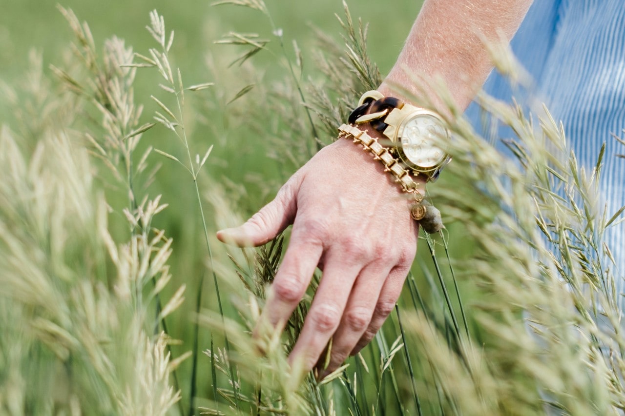 a woman’s hand touching tall grass and wearing a bold yellow gold watch